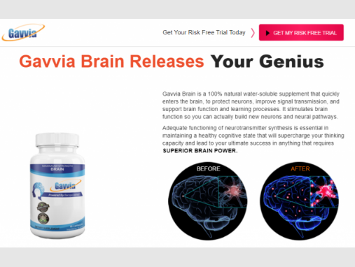 Gavvia Brain - where to buy